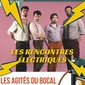 Les Rencontres électriques - Les agités du bocal image