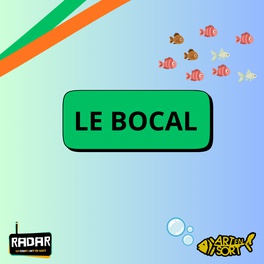 Le Bocal image
