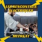 Les rencontres électriques - Meerkat image